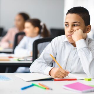 Closing the Skills Gap: Overcoming the Plateau in Language Learning